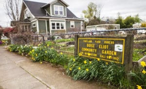 boise-eliot community garden, portland neighborhood guide, Eliot Neighborhood