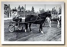 Canby Fair horse cart race for kids