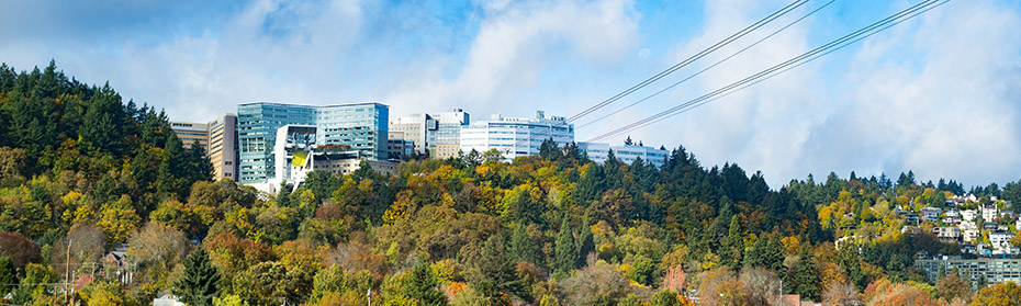 OHSU campus from below